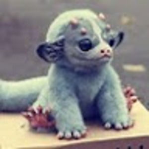 Meet your Posher, Alisha80